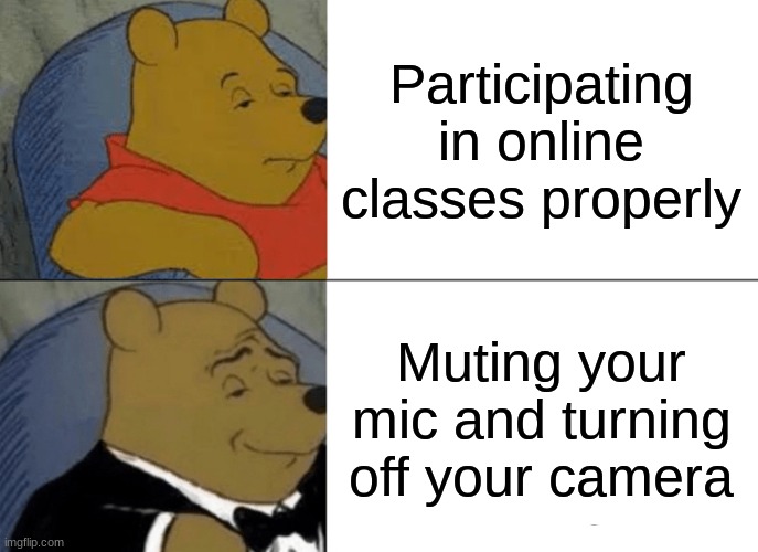 Online Classes | Participating in online classes properly; Muting your mic and turning off your camera | image tagged in memes,tuxedo winnie the pooh,online school | made w/ Imgflip meme maker