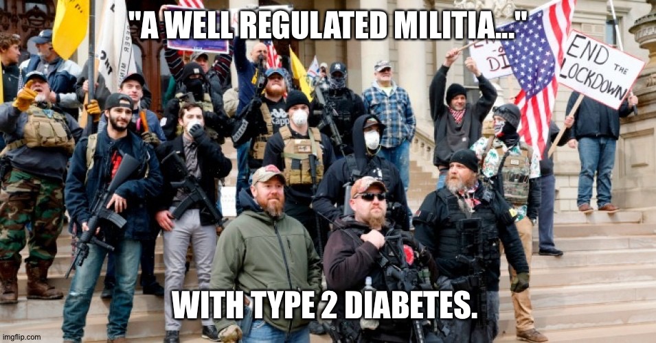 Terrorists | "A WELL REGULATED MILITIA..."; WITH TYPE 2 DIABETES. | image tagged in terrorists | made w/ Imgflip meme maker