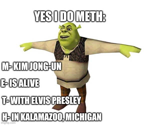 Shrek T pose | YES I DO METH:; M- KIM JONG-UN; E- IS ALIVE; T- WITH ELVIS PRESLEY; H- IN KALAMAZOO, MICHIGAN | image tagged in shrek t pose | made w/ Imgflip meme maker