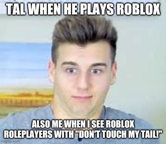 Talfishman Imgflip - dont touch my tail roblox