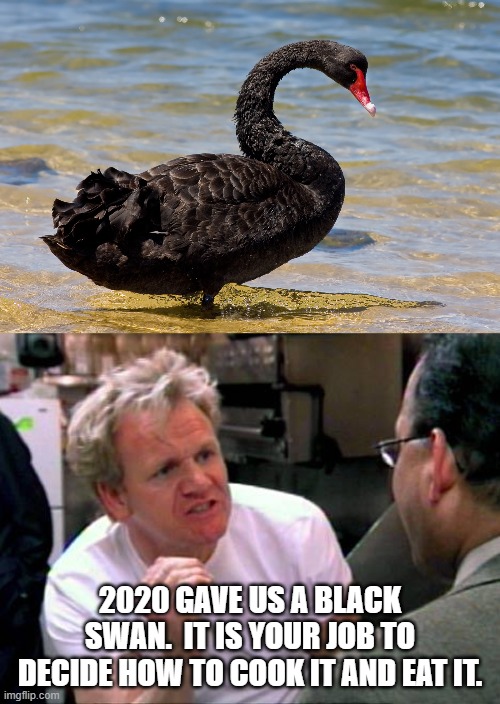 Black Swan | 2020 GAVE US A BLACK SWAN.  IT IS YOUR JOB TO DECIDE HOW TO COOK IT AND EAT IT. | image tagged in gordon ramsay | made w/ Imgflip meme maker