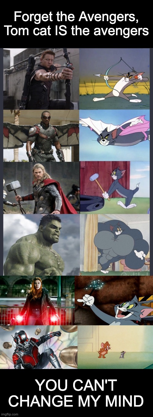 Top 5 characters that can beat Thanos is seconds | Forget the Avengers, Tom cat IS the avengers; YOU CAN'T CHANGE MY MIND | image tagged in tom and jerry,avengers | made w/ Imgflip meme maker