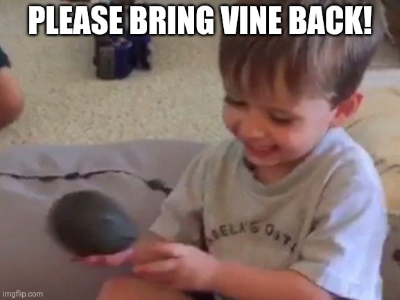 Avacado | PLEASE BRING VINE BACK! | image tagged in avacado | made w/ Imgflip meme maker