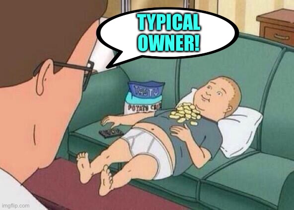 king of the hill | TYPICAL OWNER! | image tagged in king of the hill | made w/ Imgflip meme maker