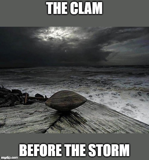 We Shell Sea... | image tagged in funny,puns | made w/ Imgflip meme maker