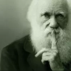 Darwin Shh Blank Meme Template