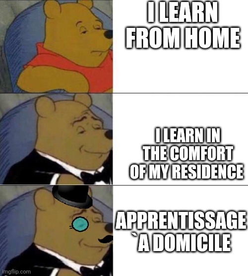 Winnie the pooh Extended | I LEARN FROM HOME; I LEARN IN THE COMFORT OF MY RESIDENCE; APPRENTISSAGE `A DOMICILE | image tagged in winnie the pooh extended | made w/ Imgflip meme maker