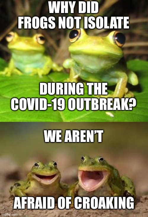 Rapid Ribbit Tidbit | WHY DID FROGS NOT ISOLATE; DURING THE COVID-19 OUTBREAK? WE AREN’T; AFRAID OF CROAKING | image tagged in frogs,covid19,croak | made w/ Imgflip meme maker