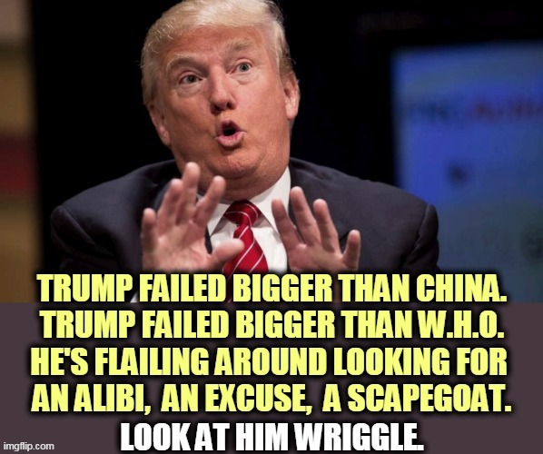 "I don't take responsibility at all." | image tagged in trump,fail,failure,excuses | made w/ Imgflip meme maker