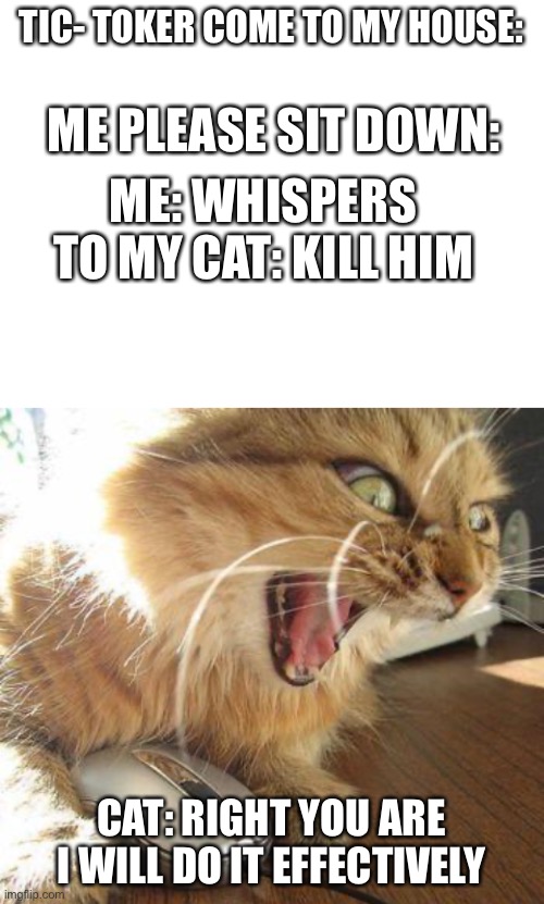 TIC- TOKER COME TO MY HOUSE:; ME PLEASE SIT DOWN:; ME: WHISPERS TO MY CAT: KILL HIM; CAT: RIGHT YOU ARE I WILL DO IT EFFECTIVELY | image tagged in angry cat,blank white template | made w/ Imgflip meme maker