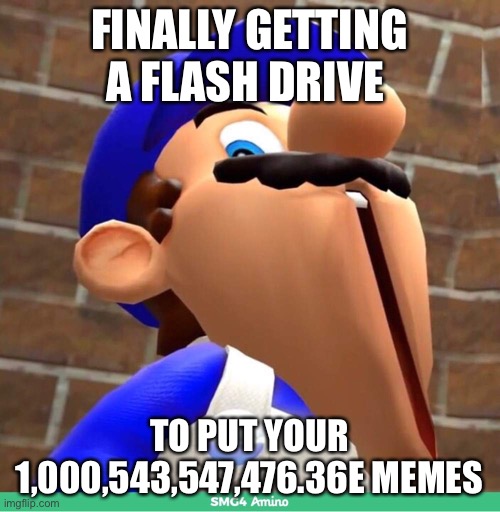smg4's face | FINALLY GETTING A FLASH DRIVE; TO PUT YOUR 1,000,543,547,476.36E MEMES | image tagged in smg4's face | made w/ Imgflip meme maker