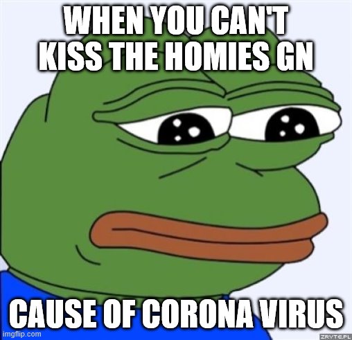 sad frog | WHEN YOU CAN'T KISS THE HOMIES GN; CAUSE OF CORONA VIRUS | image tagged in sad frog | made w/ Imgflip meme maker