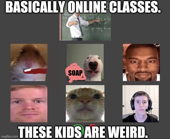 WTF is my class doing,hUh? | BASICALLY ONLINE CLASSES. SOAP; THESE KIDS ARE WEIRD. | image tagged in online class | made w/ Imgflip meme maker