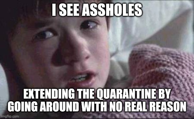 I See Dead People Meme | I SEE ASSHOLES EXTENDING THE QUARANTINE BY GOING AROUND WITH NO REAL REASON | image tagged in memes,i see dead people | made w/ Imgflip meme maker