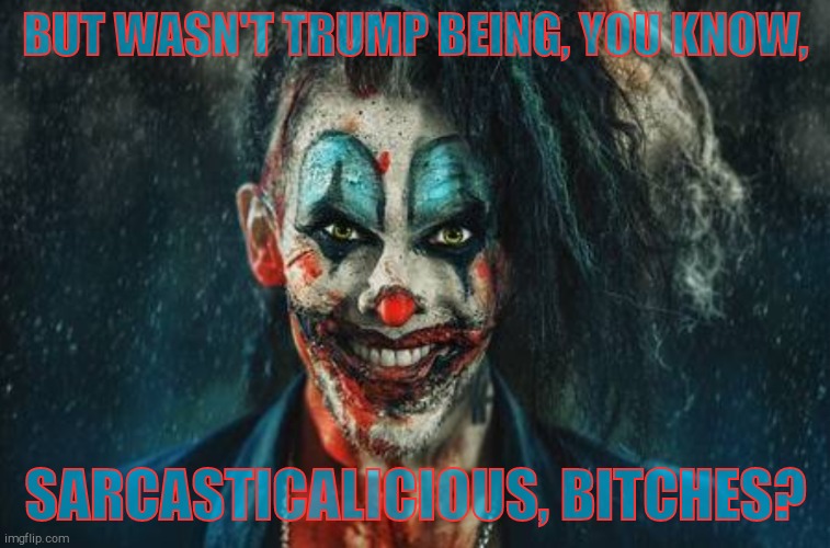w | BUT WASN'T TRUMP BEING, YOU KNOW, SARCASTICALICIOUS, BITCHES? | made w/ Imgflip meme maker