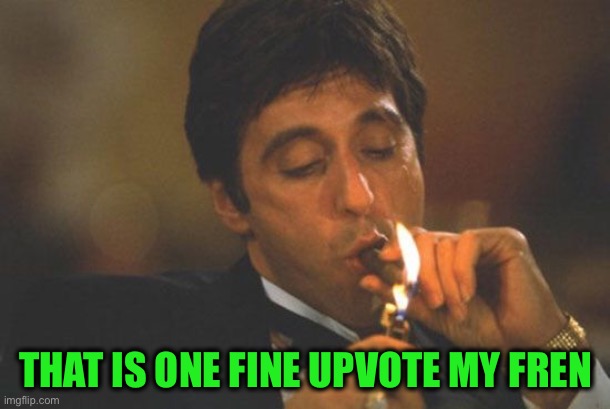 Scarface Serious | THAT IS ONE FINE UPVOTE MY FREN | image tagged in scarface serious | made w/ Imgflip meme maker