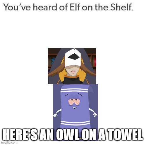 Elf On A Shelf | HERE'S AN OWL ON A TOWEL | image tagged in elf on a shelf | made w/ Imgflip meme maker