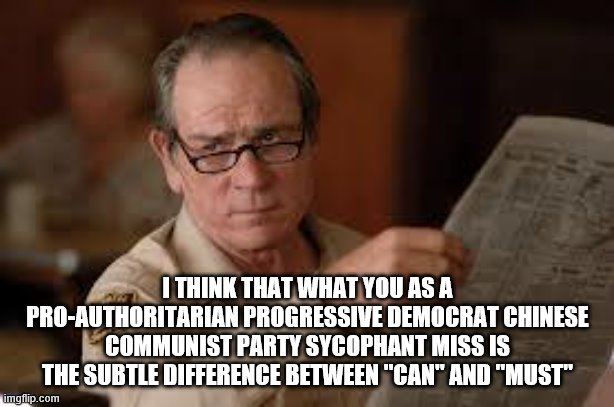 no country for old men tommy lee jones | I THINK THAT WHAT YOU AS A PRO-AUTHORITARIAN PROGRESSIVE DEMOCRAT CHINESE COMMUNIST PARTY SYCOPHANT MISS IS THE SUBTLE DIFFERENCE BETWEEN "C | image tagged in no country for old men tommy lee jones | made w/ Imgflip meme maker