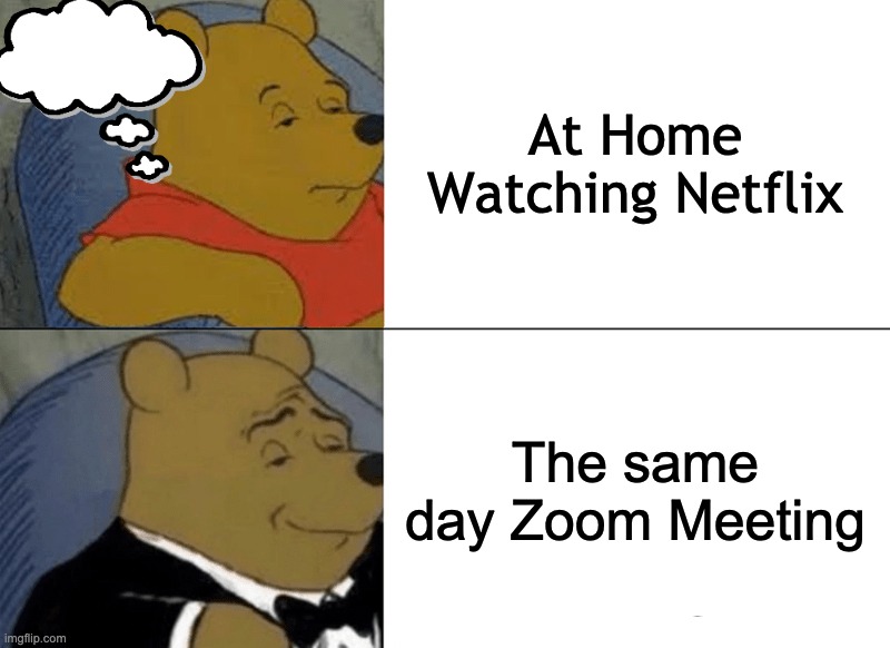 Working at Home | At Home Watching Netflix; The same day Zoom Meeting | image tagged in memes,tuxedo winnie the pooh,zoom,quarantine | made w/ Imgflip meme maker