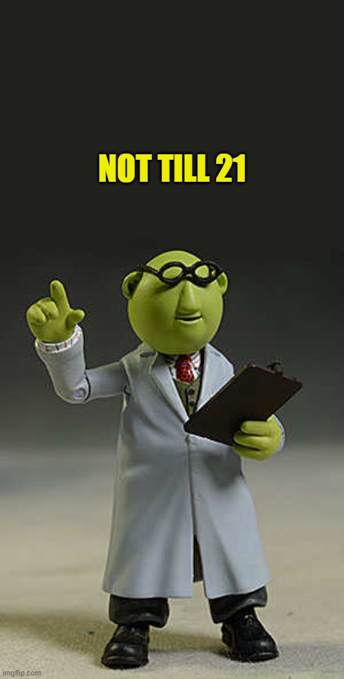 muppets | NOT TILL 21 | image tagged in muppets | made w/ Imgflip meme maker