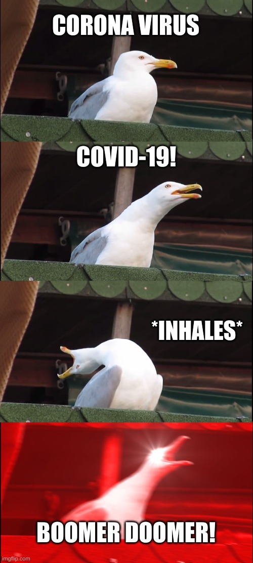 Inhaling Seagull Meme | CORONA VIRUS; COVID-19! *INHALES*; BOOMER DOOMER! | image tagged in memes,inhaling seagull | made w/ Imgflip meme maker