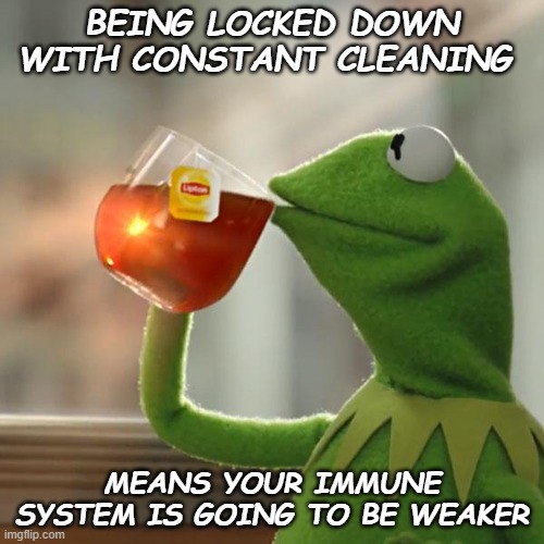 But That's None Of My Business | BEING LOCKED DOWN WITH CONSTANT CLEANING; MEANS YOUR IMMUNE SYSTEM IS GOING TO BE WEAKER | image tagged in memes,but that's none of my business,kermit the frog | made w/ Imgflip meme maker