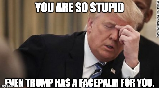 Even Trump has a Facepalm for you. | YOU ARE SO STUPID; EVEN TRUMP HAS A FACEPALM FOR YOU. | image tagged in trump facepalm | made w/ Imgflip meme maker