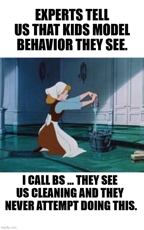 Wish they would model the good behavior and not the bad stuff I do. | EXPERTS TELL US THAT KIDS MODEL BEHAVIOR THEY SEE. I CALL BS ... THEY SEE 
US CLEANING AND THEY 
NEVER ATTEMPT DOING THIS. | image tagged in cinderella cleaning,kids,copycat | made w/ Imgflip meme maker