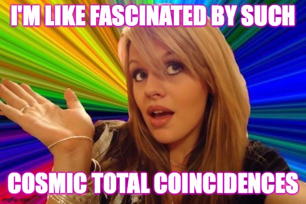 Dumb Blonde Meme | I'M LIKE FASCINATED BY SUCH COSMIC TOTAL COINCIDENCES | image tagged in memes,dumb blonde | made w/ Imgflip meme maker