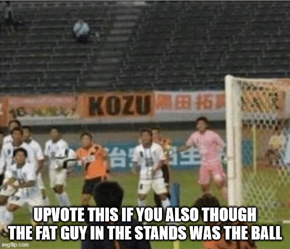 The illusion | UPVOTE THIS IF YOU ALSO THOUGH THE FAT GUY IN THE STANDS WAS THE BALL | image tagged in memes,funny,illusions,optical illusion,trick,fun | made w/ Imgflip meme maker