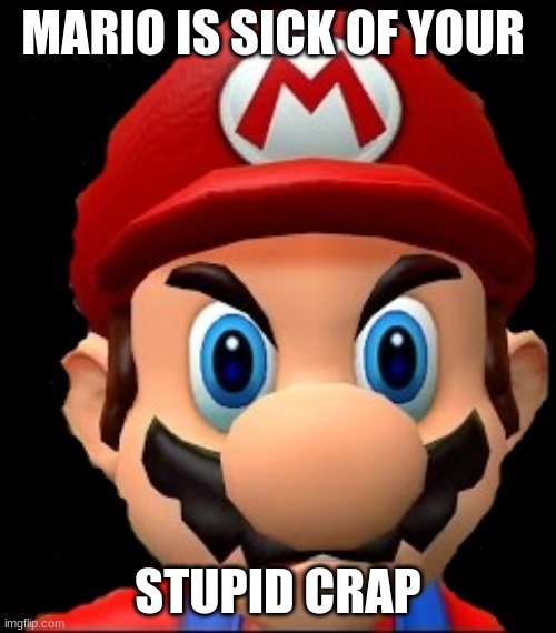 crapy mario | MARIO IS SICK OF YOUR; STUPID CRAP | image tagged in raging mario | made w/ Imgflip meme maker