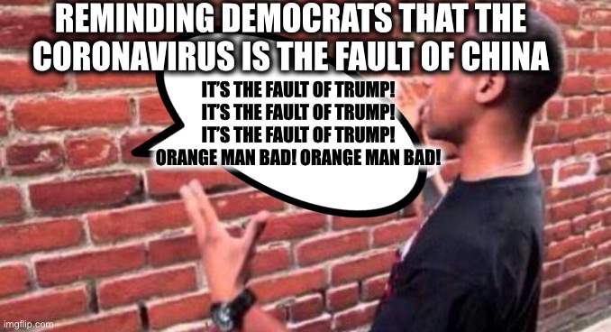 You just can’t reason with the insane | REMINDING DEMOCRATS THAT THE CORONAVIRUS IS THE FAULT OF CHINA; IT’S THE FAULT OF TRUMP! IT’S THE FAULT OF TRUMP! IT’S THE FAULT OF TRUMP! ORANGE MAN BAD! ORANGE MAN BAD! | image tagged in democratic party,brick wall,coronavirus,covid-19,president trump,china | made w/ Imgflip meme maker