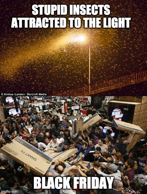human arrogance | STUPID INSECTS ATTRACTED TO THE LIGHT; BLACK FRIDAY | image tagged in black friday at walmart,humans,smart animals | made w/ Imgflip meme maker