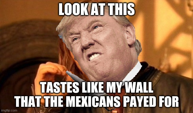 Trump | LOOK AT THIS; TASTES LIKE MY WALL THAT THE MEXICANS PAYED FOR | image tagged in memes,one does not simply | made w/ Imgflip meme maker