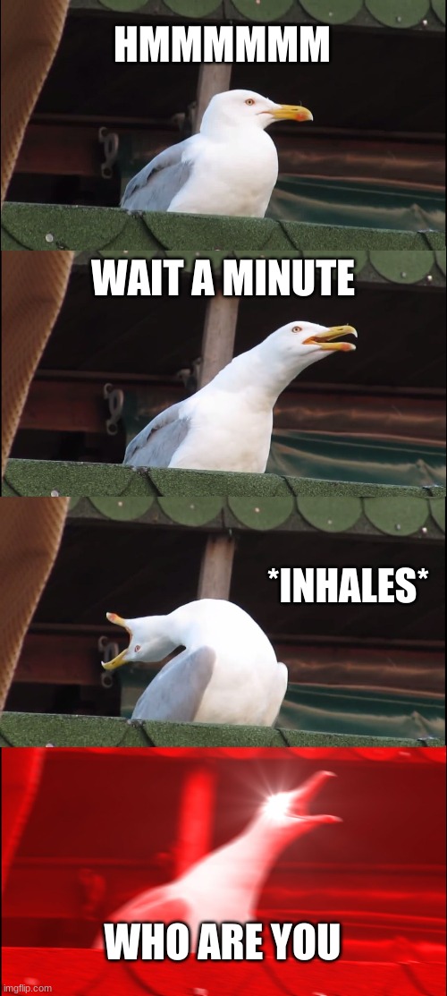 HMMMMMM WAIT A MINUTE *INHALES* WHO ARE YOU | image tagged in memes,inhaling seagull | made w/ Imgflip meme maker