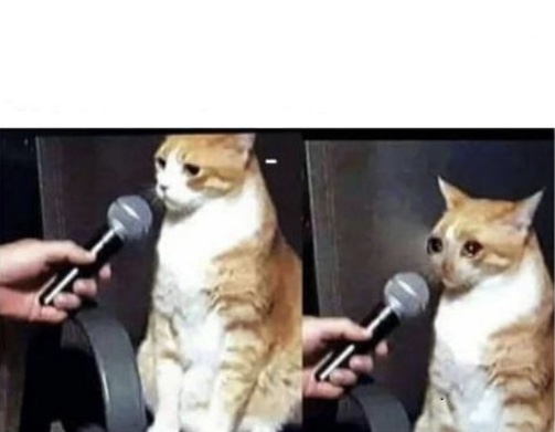 Crying Cat Interview Horizontal Blank Meme Template
