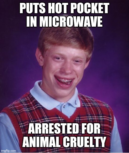 Bad Luck Brian Meme | PUTS HOT POCKET IN MICROWAVE; ARRESTED FOR ANIMAL CRUELTY | image tagged in memes,bad luck brian | made w/ Imgflip meme maker