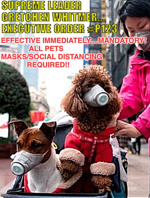 Executive order 123 | SUPREME LEADER
GRETCHEN WHITMER...
EXECUTIVE ORDER #P123; EFFECTIVE IMMEDIATELY....MANDATORY!
              ALL PETS
MASKS/SOCIAL DISTANCING 
             REQUIRED!! | image tagged in imgflip | made w/ Imgflip meme maker