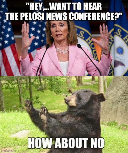 "HEY,...WANT TO HEAR THE PELOSI NEWS CONFERENCE?" | image tagged in memes,how about no bear | made w/ Imgflip meme maker