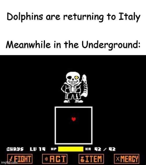 Sans Fight | Dolphins are returning to Italy; Meanwhile in the Underground: | image tagged in sans,undertale,you're gonna have a bad time | made w/ Imgflip meme maker