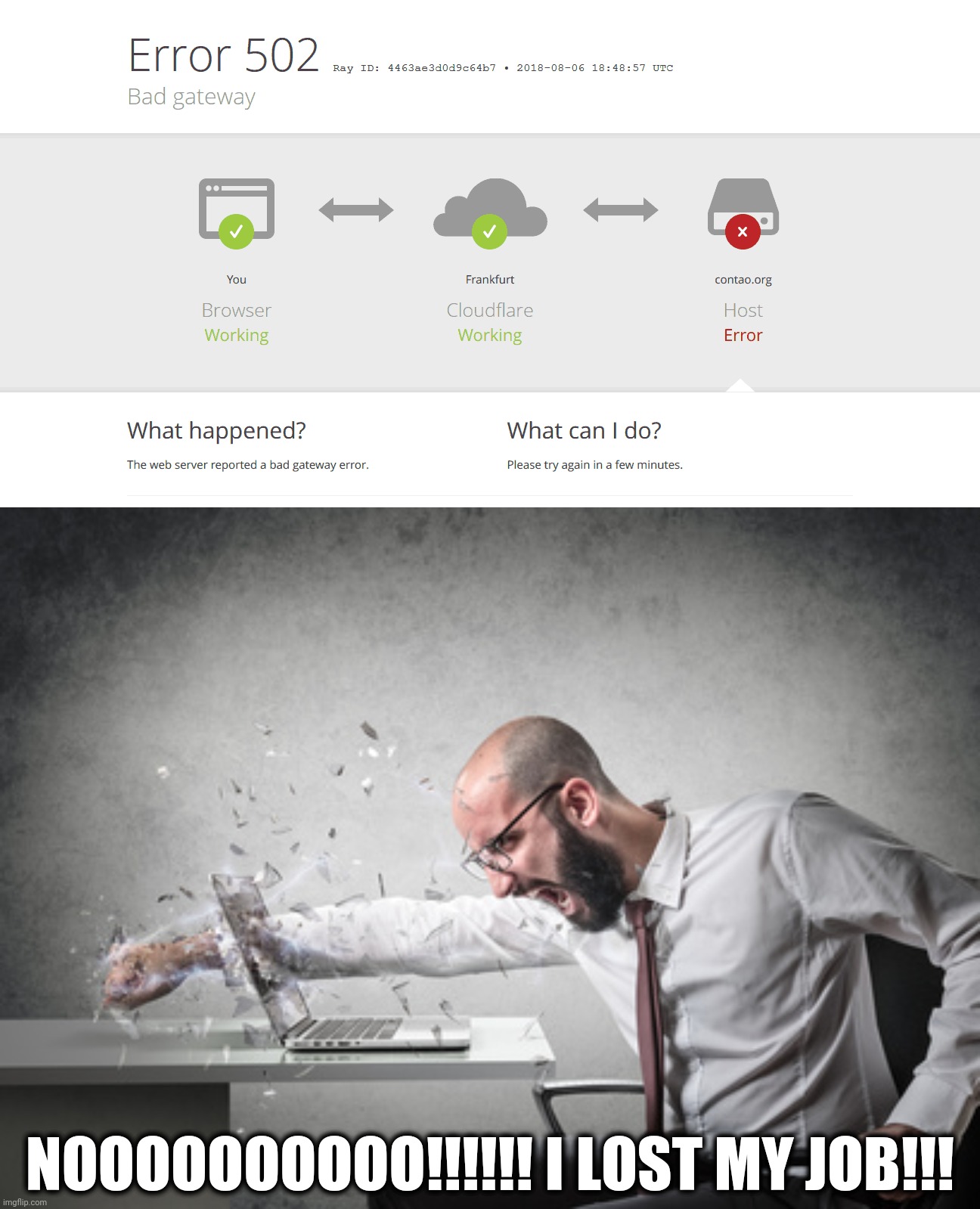 lol 2 | NOOOOOOOOOO!!!!!! I LOST MY JOB!!! | image tagged in memes,funny,funny memes | made w/ Imgflip meme maker