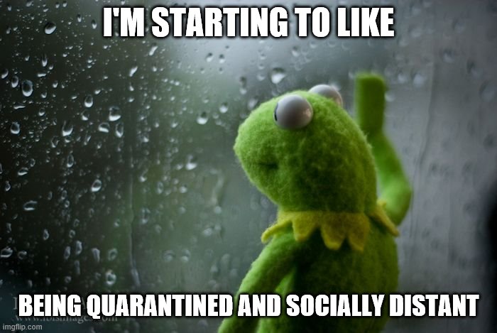 kermit window | I'M STARTING TO LIKE; BEING QUARANTINED AND SOCIALLY DISTANT | image tagged in kermit window | made w/ Imgflip meme maker