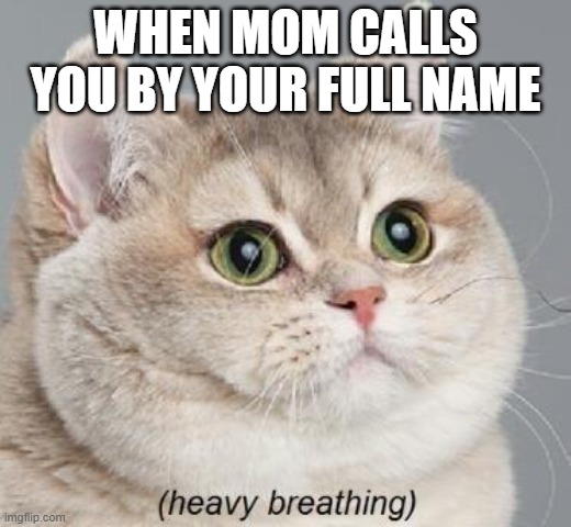 Heavy Breathing Cat | WHEN MOM CALLS YOU BY YOUR FULL NAME | image tagged in memes,heavy breathing cat | made w/ Imgflip meme maker