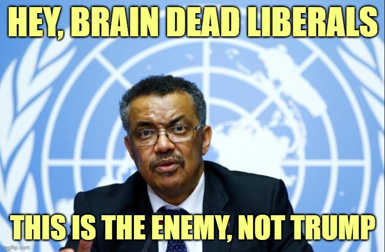 tedros the bullshit artist | HEY, BRAIN DEAD LIBERALS; THIS IS THE ENEMY, NOT TRUMP | image tagged in tedros the bullshit artist | made w/ Imgflip meme maker