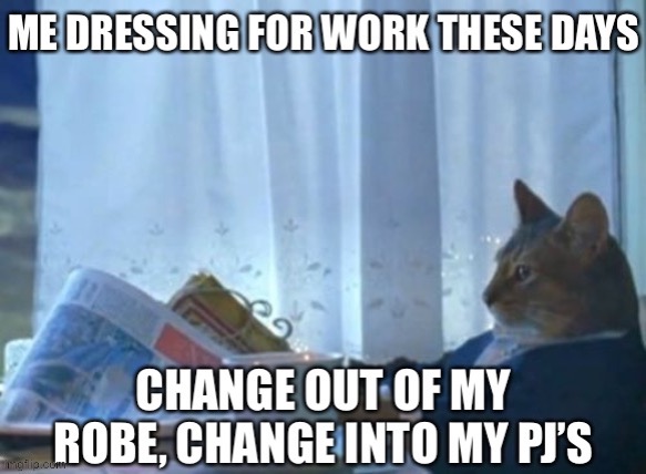 I Should Buy A Boat Cat | image tagged in i should buy a boat cat,covid-19,coronavirus,work from home,quarantine,pajamas | made w/ Imgflip meme maker