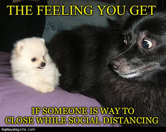 OMG ! The Virus, The Virus | THE FEELING YOU GET; IF SOMEONE IS WAY TO CLOSE WHILE SOCIAL DISTANCING | image tagged in coronavirus,funny,dogs,laugh | made w/ Imgflip meme maker
