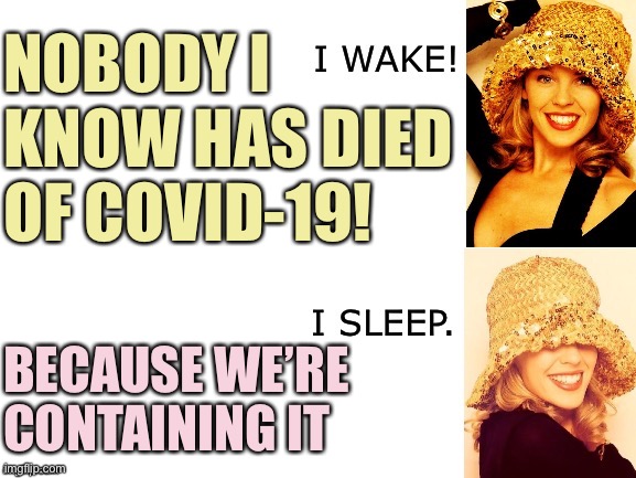 The successes of social distancing are now being taken for granted and weaponized against it. | NOBODY I KNOW HAS DIED OF COVID-19! BECAUSE WE’RE CONTAINING IT | image tagged in kylie i wake/i sleep,social distancing,conservative logic,covid-19,coronavirus,pandemic | made w/ Imgflip meme maker