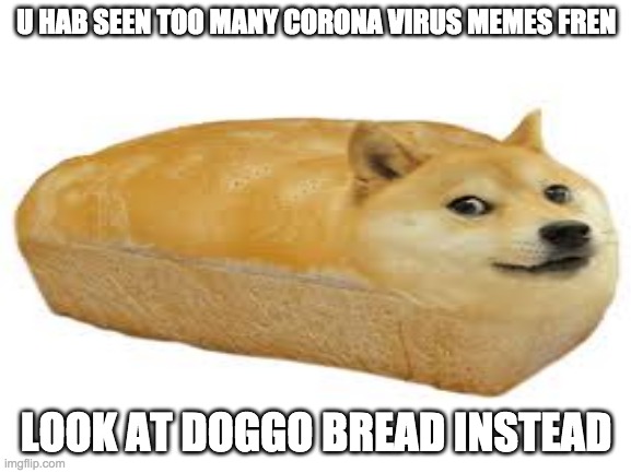 DOGGO | U HAB SEEN TOO MANY CORONA VIRUS MEMES FREN; LOOK AT DOGGO BREAD INSTEAD | image tagged in dog,bread | made w/ Imgflip meme maker