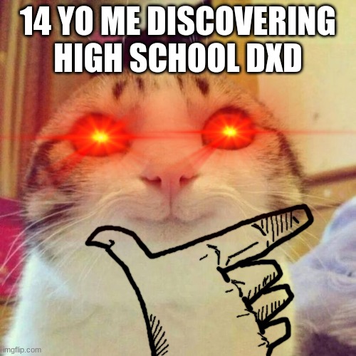 Times | 14 YO ME DISCOVERING HIGH SCHOOL DXD | image tagged in cats | made w/ Imgflip meme maker