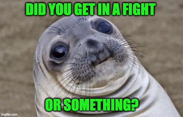 Awkward Moment Sealion Meme | DID YOU GET IN A FIGHT OR SOMETHING? | image tagged in memes,awkward moment sealion | made w/ Imgflip meme maker